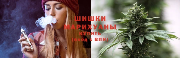 прущий лед Пересвет